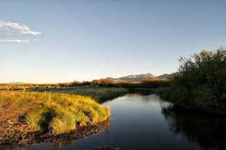 160 Hooper Ln, May, ID 83253