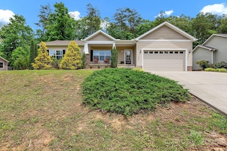 52 Luther Cove Rd, Candler, NC 28715