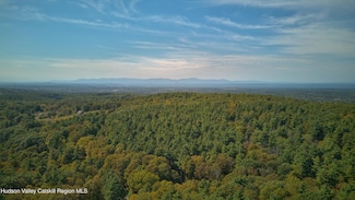 0 Scannell Rd, Ghent, NY 12075