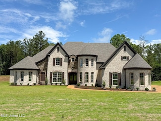 11444 Vicki's Ln, Olive Branch, MS 38654
