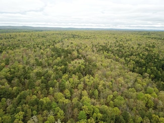 0 Beech Creek Mountain Rd Unit 11252971, Beech Creek, PA 16822