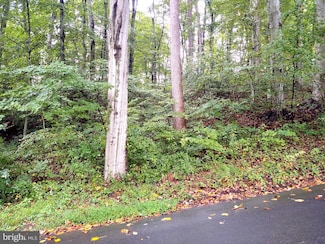 Lots 126-127 Codjus Dr, Rising Sun, MD 21911