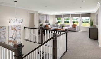 Donovan, Chesterfield, VA 23832