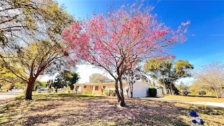 1516 Dove Dr, Orlando, FL 32803
