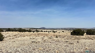 51 Hide Away Rd, Quemado, NM 87829