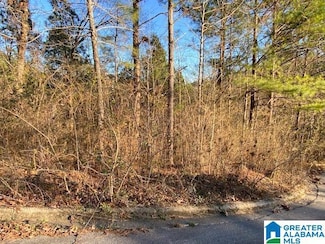 0 Walnut Cove Unit 15 21409325, Odenville, AL 35120