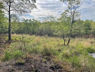 TBD E 1980 Rd, Soper, OK 74759