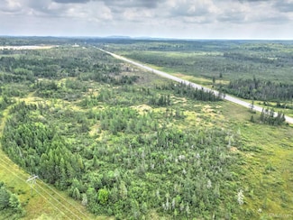 TBD County Road Sy, Cornell Township, MI 49819