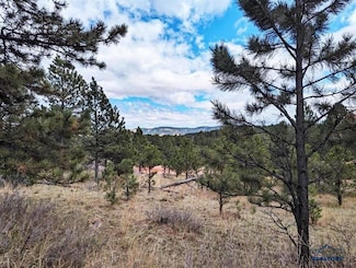 TBD Lot 1 Argyle Rd, Hot Springs, SD 57747
