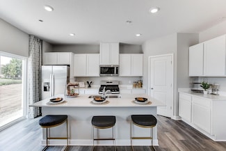 17041 Dysart Place, Lakeville, MN 55044