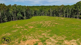 0 Wolf Pen Rd, Pocahontas, TN 38061