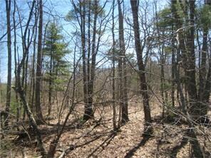 Lot #9-2 N Union Rd, Union, ME 04862