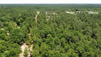0 Crow Trail SE Unit 1654392, Townsend, GA 31331