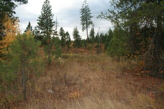 000 Little Sweden Rd Unit Lot 2, Valley, WA 99181