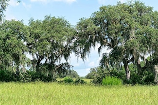 0 Lot22 Shoreline Ranch Ln Unit MFRO6319172, Umatilla, FL 32784