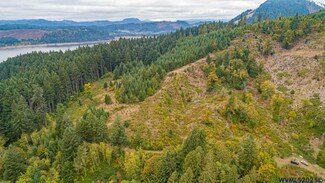 78312 Rat Creek (Next To) Rd, Cottage Grove, OR 97424
