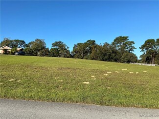 1154 N Spend A Buck Dr, Hernando, FL 34442