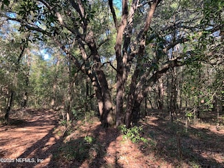 000 Baden Powell Rd, Hawthorne, FL 32640