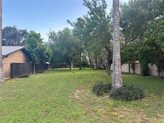 1409 Marla Dr, Palmview, TX 78572