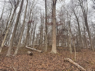 Lot 1 State Fork Rd, Metz, WV 26585