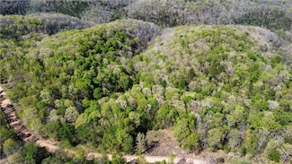 000 Holmes Rd, Mountain View, AR 72560