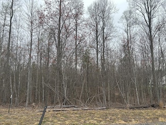 0 Volunteer St Unit RTC2883053, Jasper, TN 37347