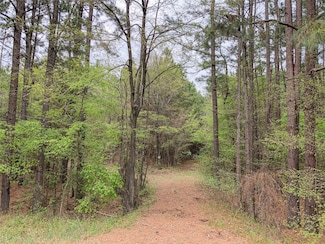 0 Hwy 67 Unit 38859474, Redwater, TX 75567