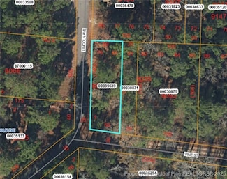TBD Lincoln Ave, Vass, NC 28394