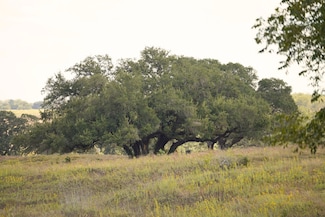 3055 Fm 956, Freyburg, TX 78956