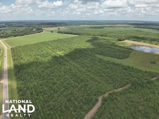 0 Highway 8, Philipp, MS 38950