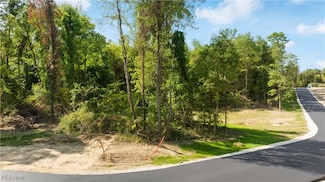 4710 Pinecrest Dr, Uniontown, OH 44685