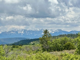 9 N Gurley Lake Dr, Norwood, CO 81423