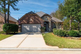 31 S Whistling Swan Place, Spring, TX 77389