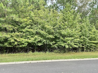 0 Seminole Ln, Manchester, TN 37355