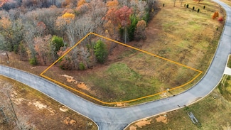 116 River Run Trail, Spring City, TN 37381