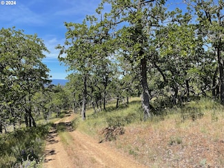 30 Columbia Hills Ln, Goldendale, WA 98620