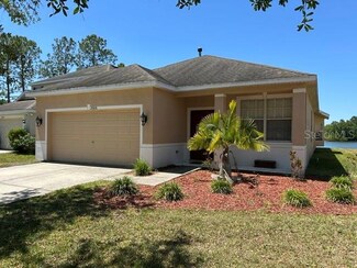 20606 Whitewood Way, Tampa, FL 33647