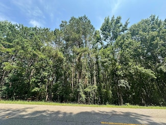 Lot 1-E Ridge Rd, Appling, GA 30802