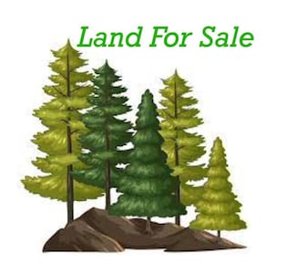 6.79 A End McAllister Rd, Buckfield, ME 04220