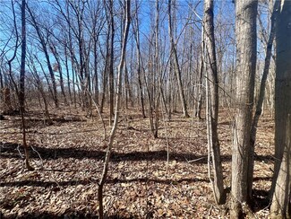 0 W Jos R Chafer Rd, Couderay, WI 54828