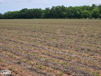 0 County Road 73, Midland City, AL 36350