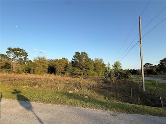 Lot 1 SW 65th Loop, Rainbow Springs, FL 34432