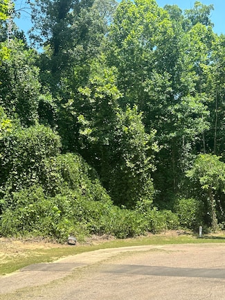 7142 Soaring Oaks Cove, Walls, MS 38680