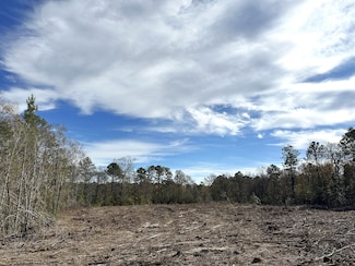 0 Happy Town Rd, Gaston, SC 29053