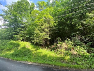 0 Pleasant View Dr, Conemaugh Township, PA 15905