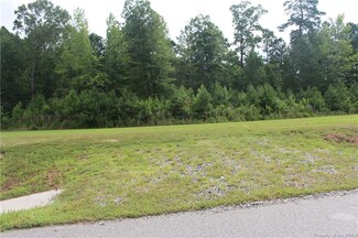 2256 Moonlight Point, Williamsburg, VA 23185