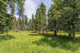 13270 Three Meadows Rd, East Custer, SD 57751