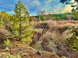 4665 S 9 8 10 Rd, Glade Park, CO 81523