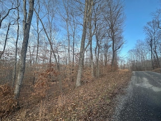 Tract 12 Campbell Rd, Jabez, KY 42544