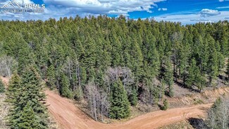 3075 N Mountain Estates Rd, Florissant, CO 80816